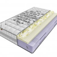 Erto Lattice TT